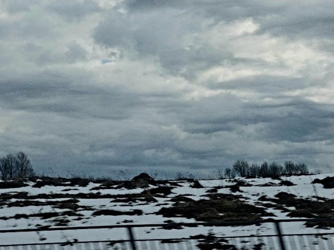 20260502_161529.jpg