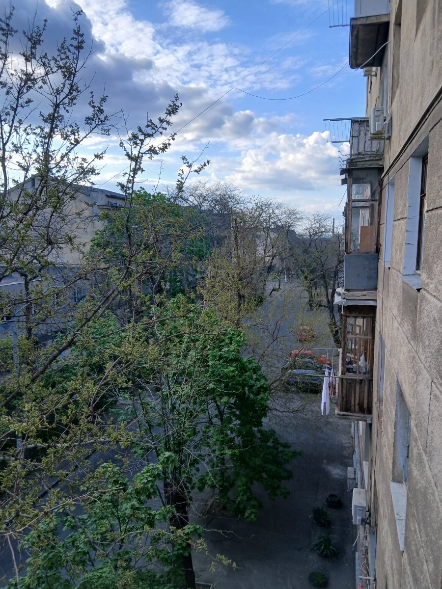 20260502_181722.jpg