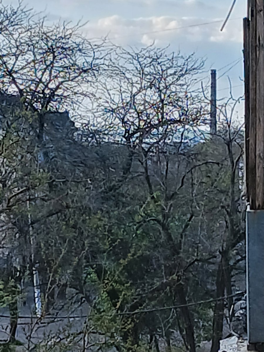 20260502_181841.jpg