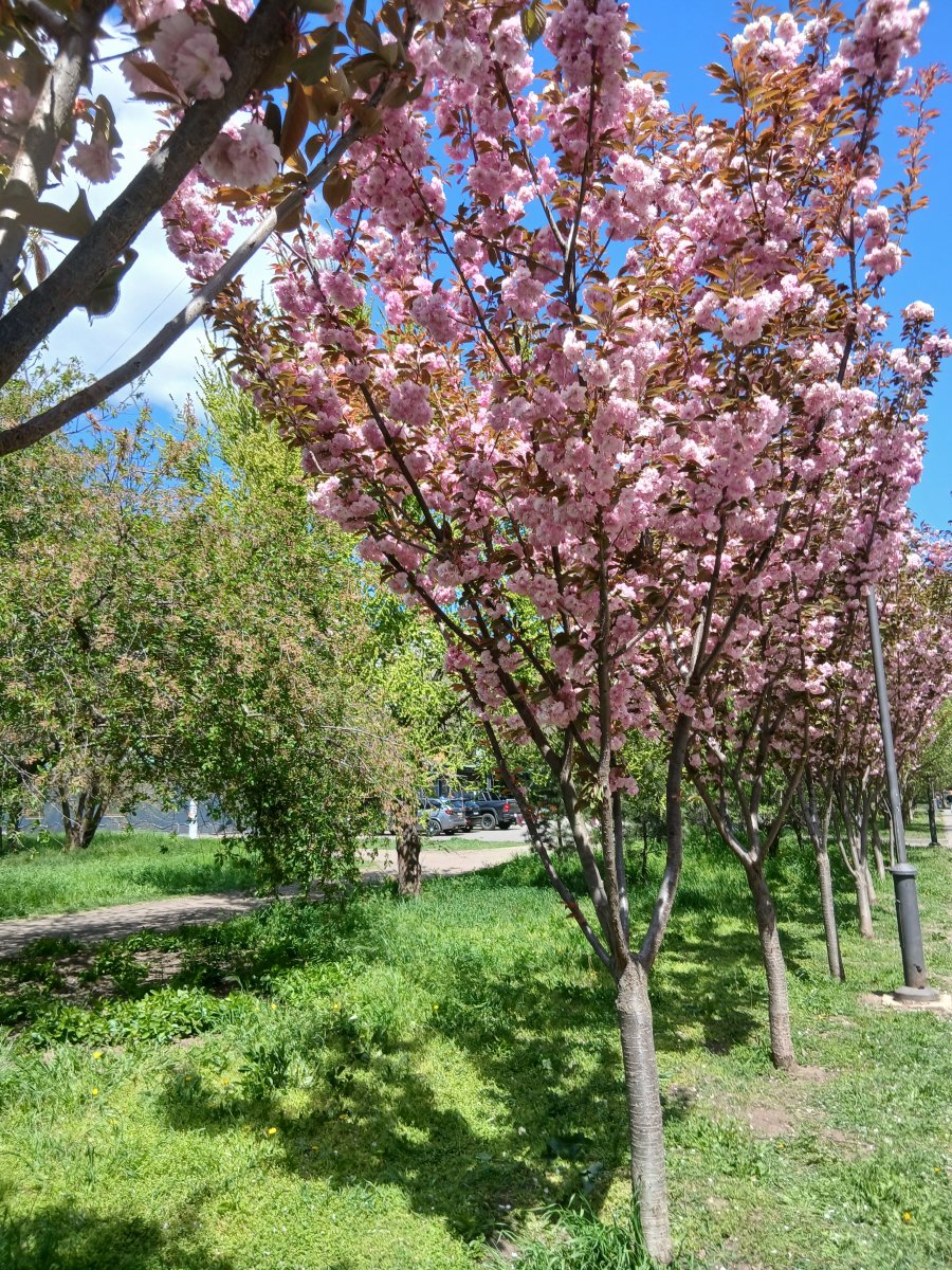 20260503_120758.jpg