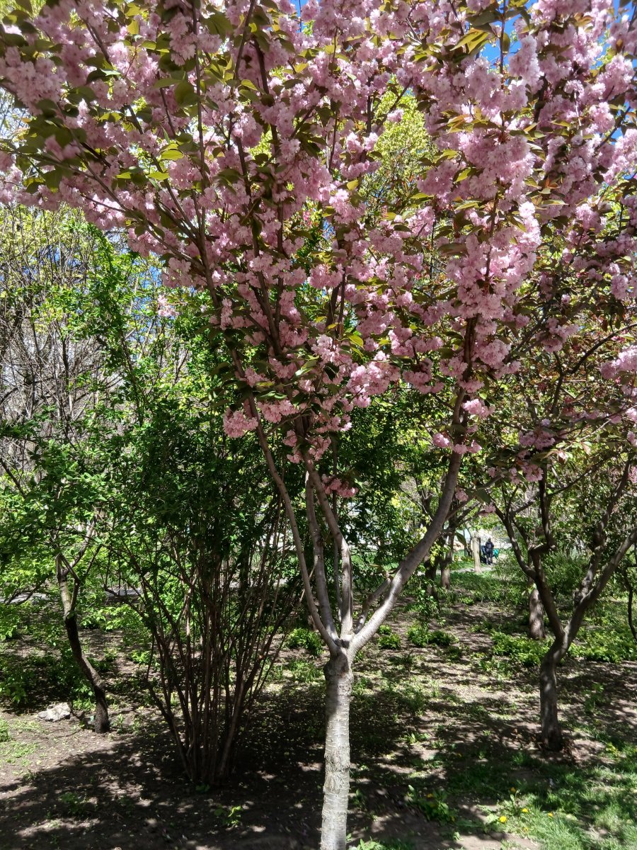 20260503_121010.jpg