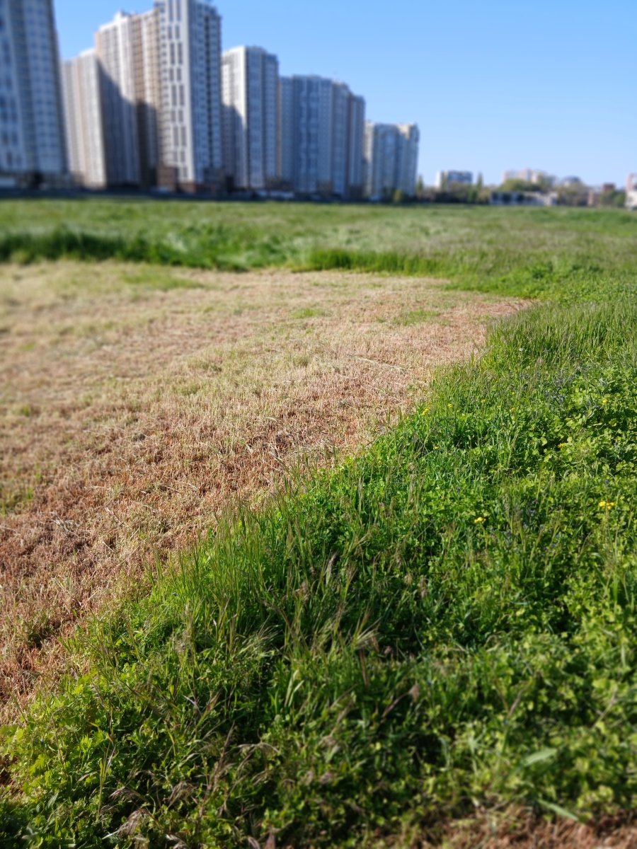 20260503_171636.jpg