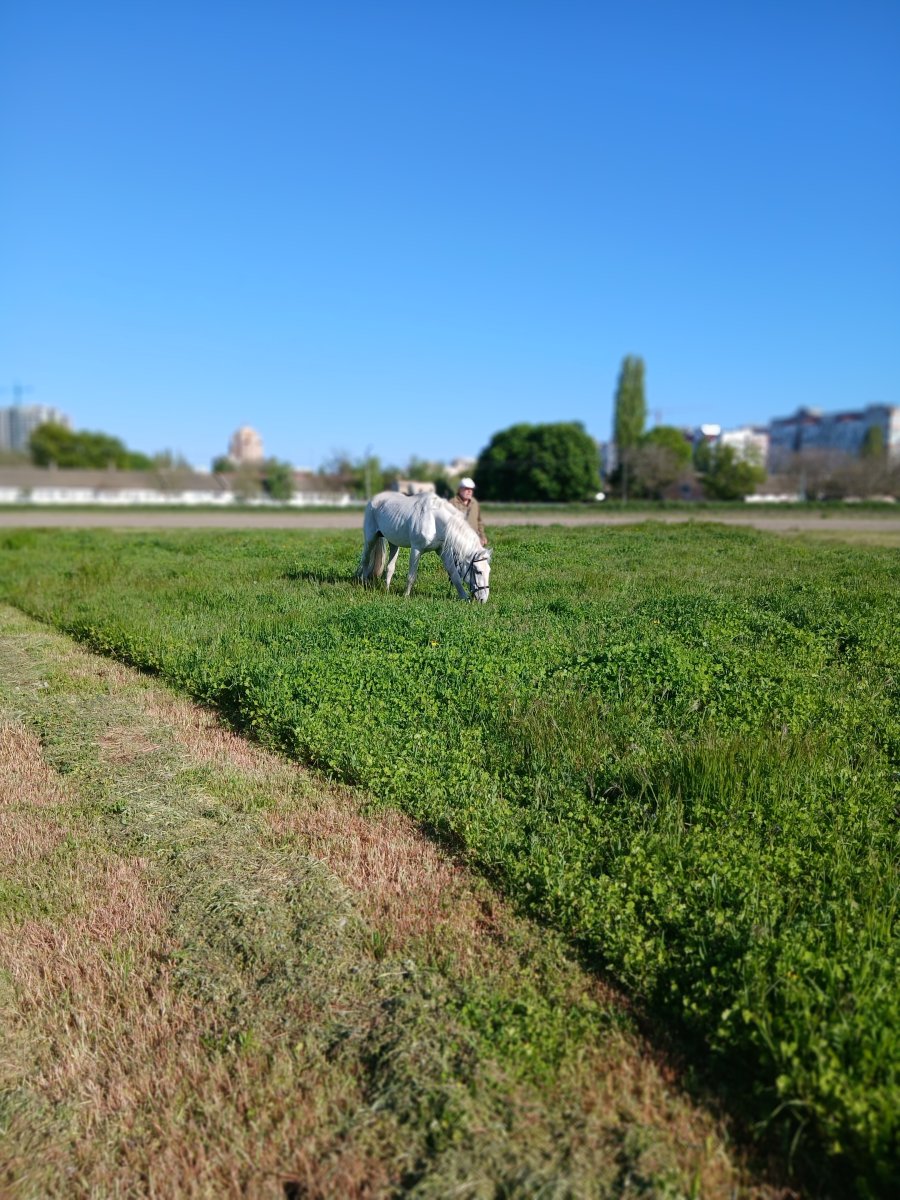 20260503_171641.jpg
