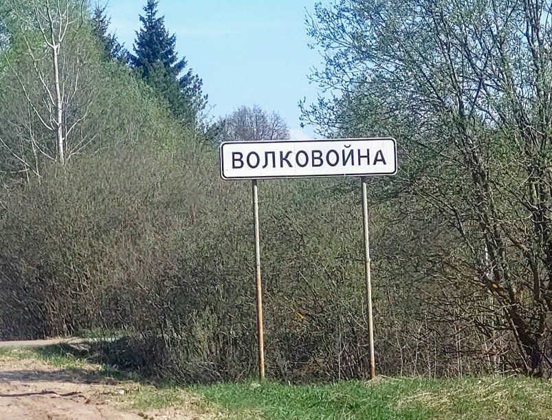 20260505_091511.jpg