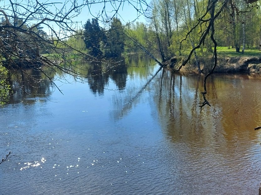 20260505_094813.jpg