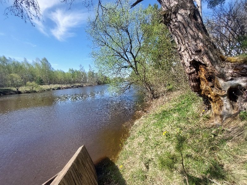 20260505_094843.jpg