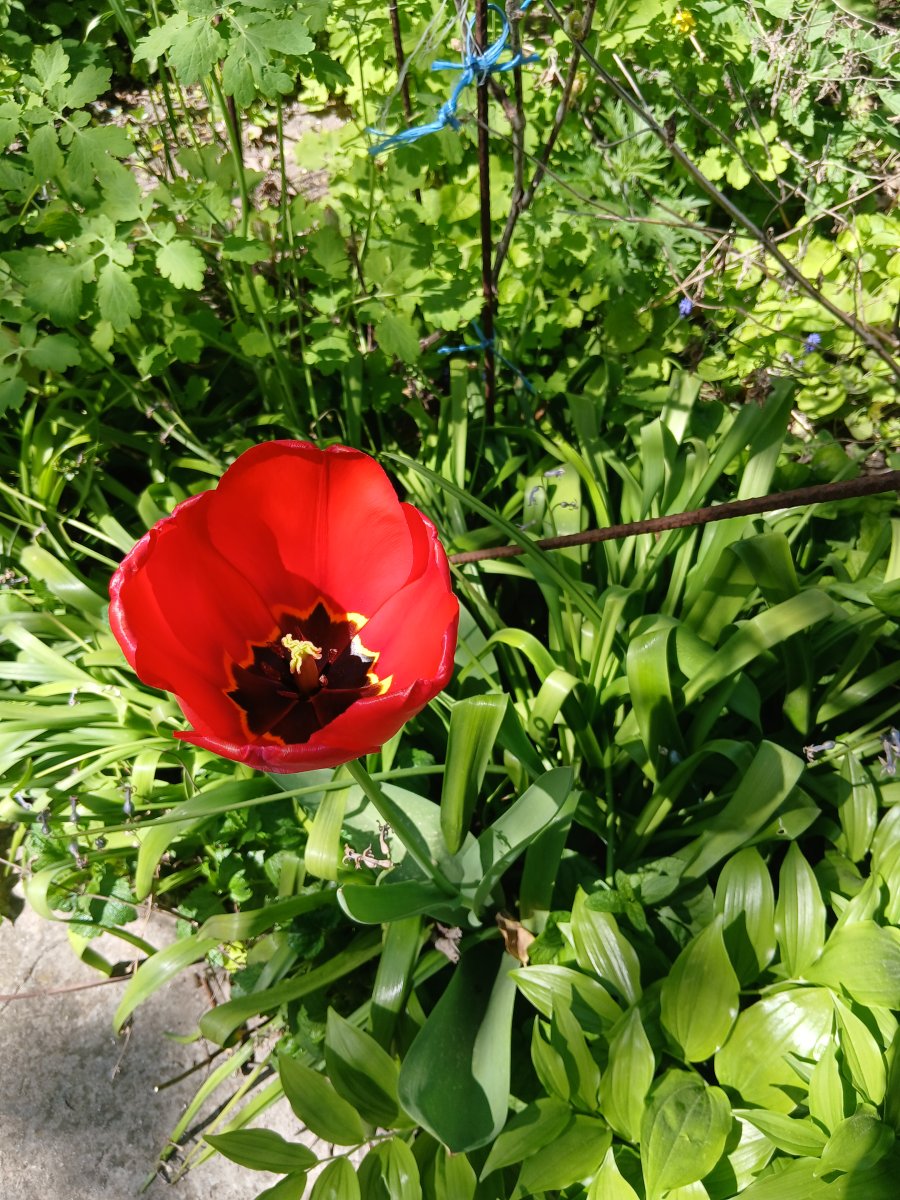 20260505_113457.jpg