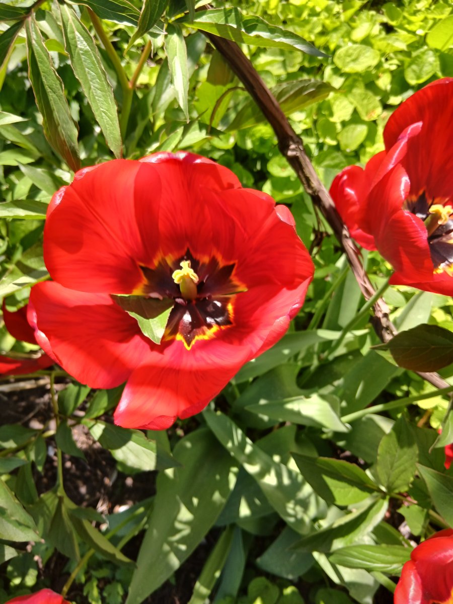 20260505_113551.jpg