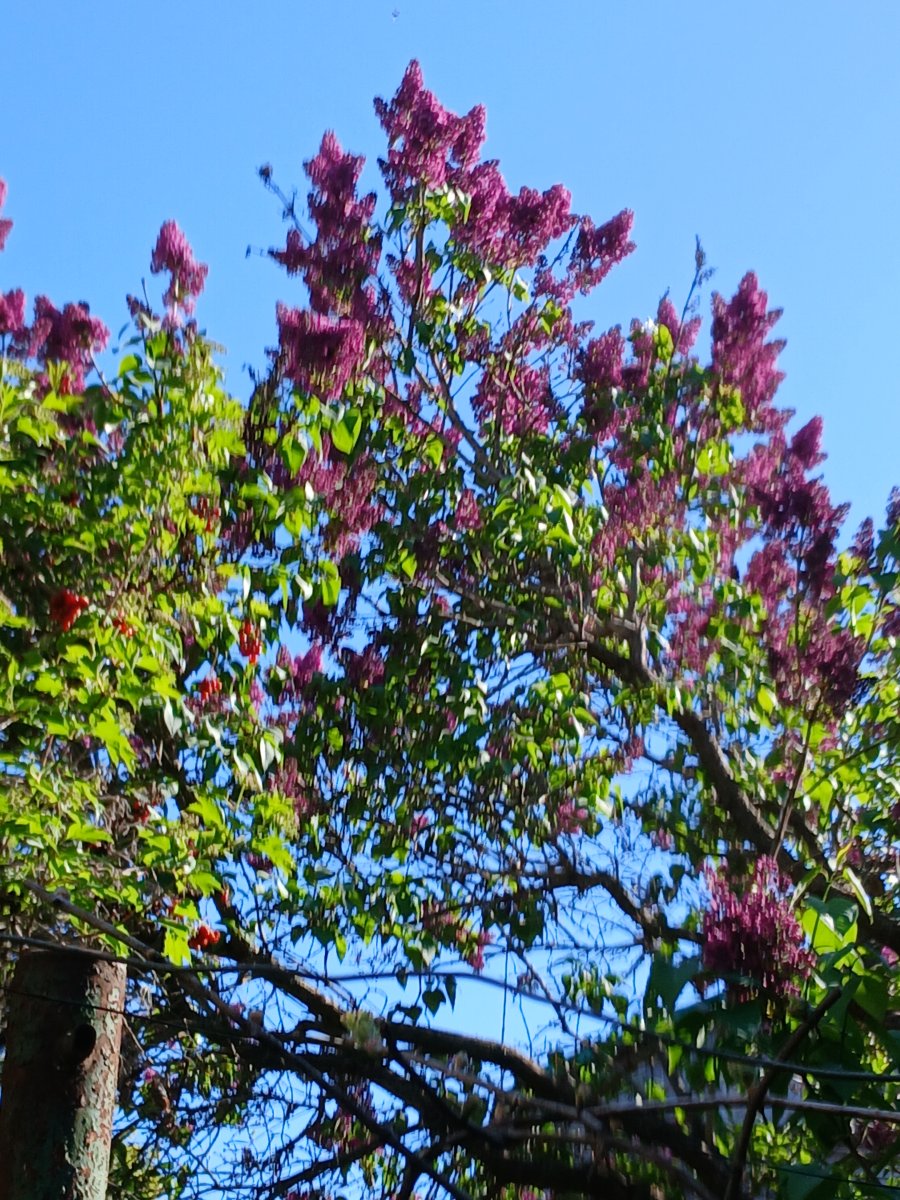20260505_162601.jpg