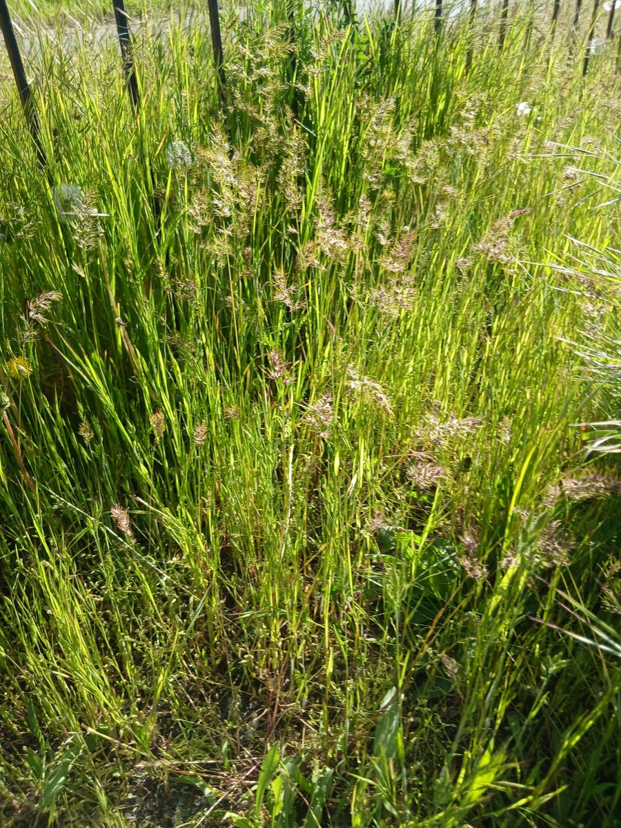 20260505_165842.jpg