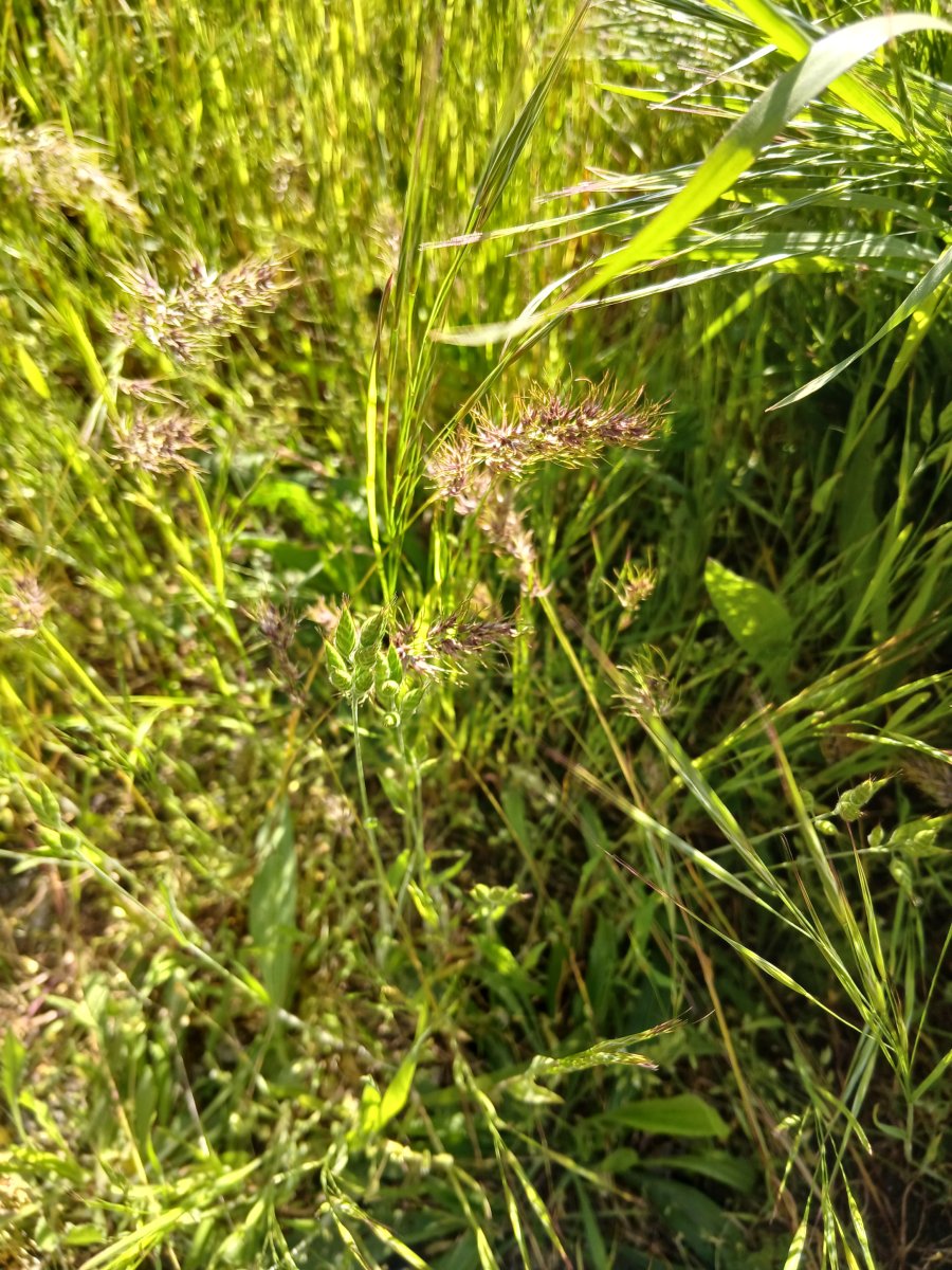 20260505_165846.jpg