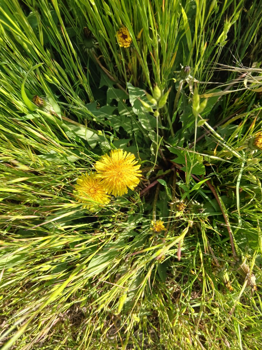20260505_165905.jpg