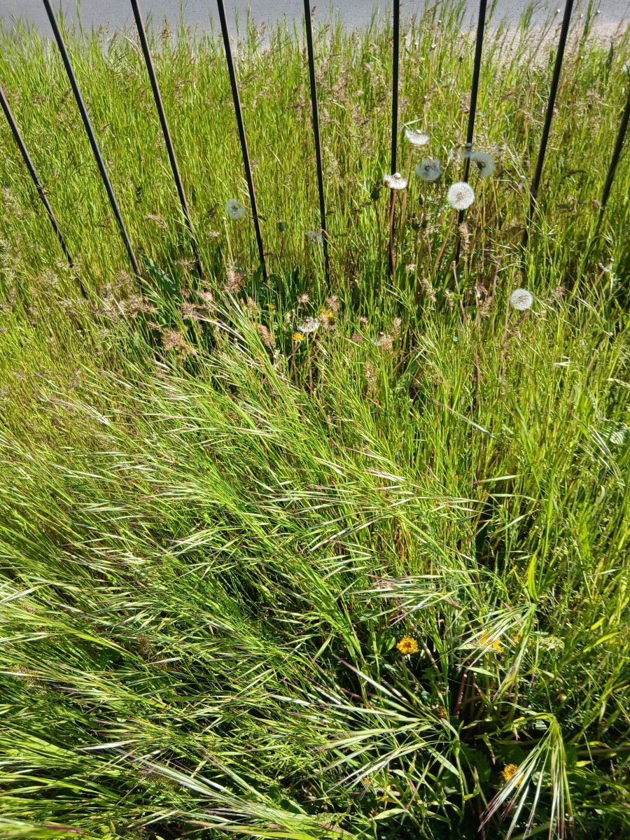 20260505_165911.jpg