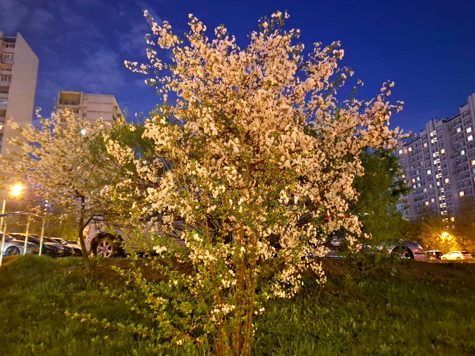 20260505_212355.jpg