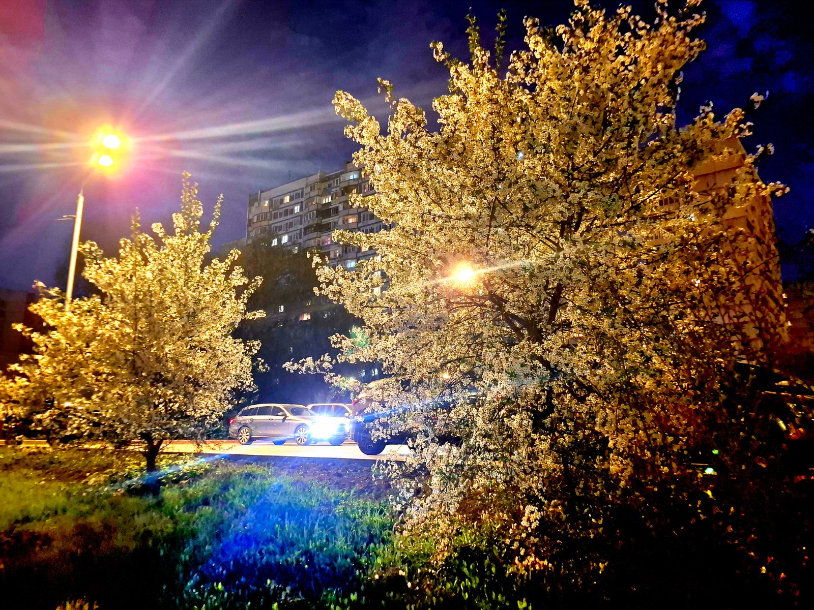 20260505_212416.jpg