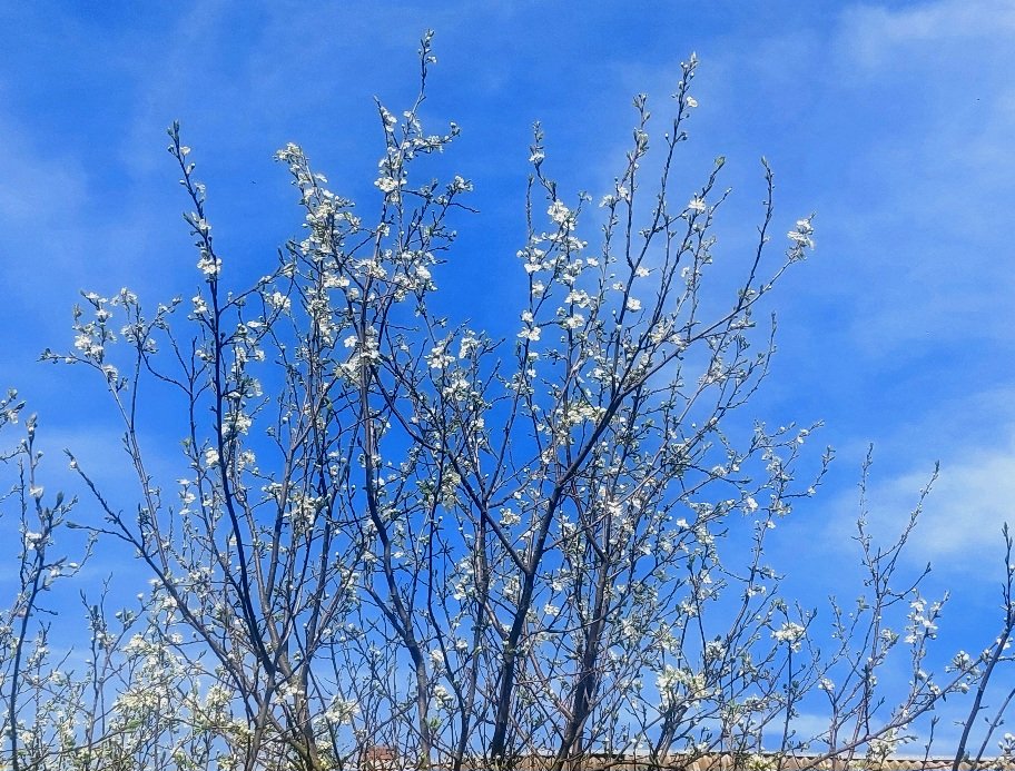 20260507_142306.jpg