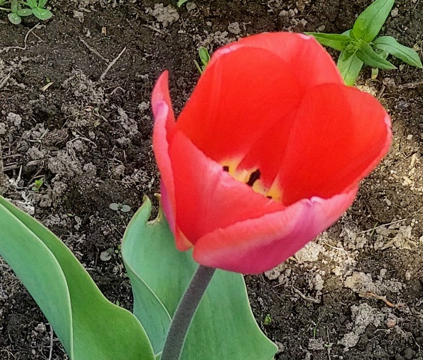 20260507_142325.jpg