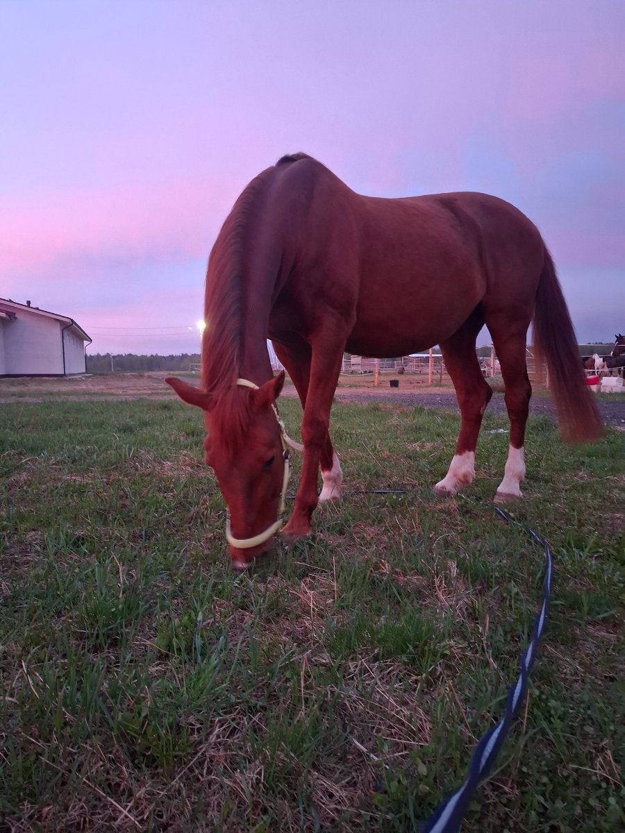 20260508_203007.jpg