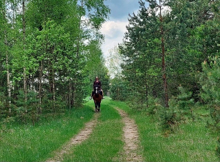 20260514_115602.jpg