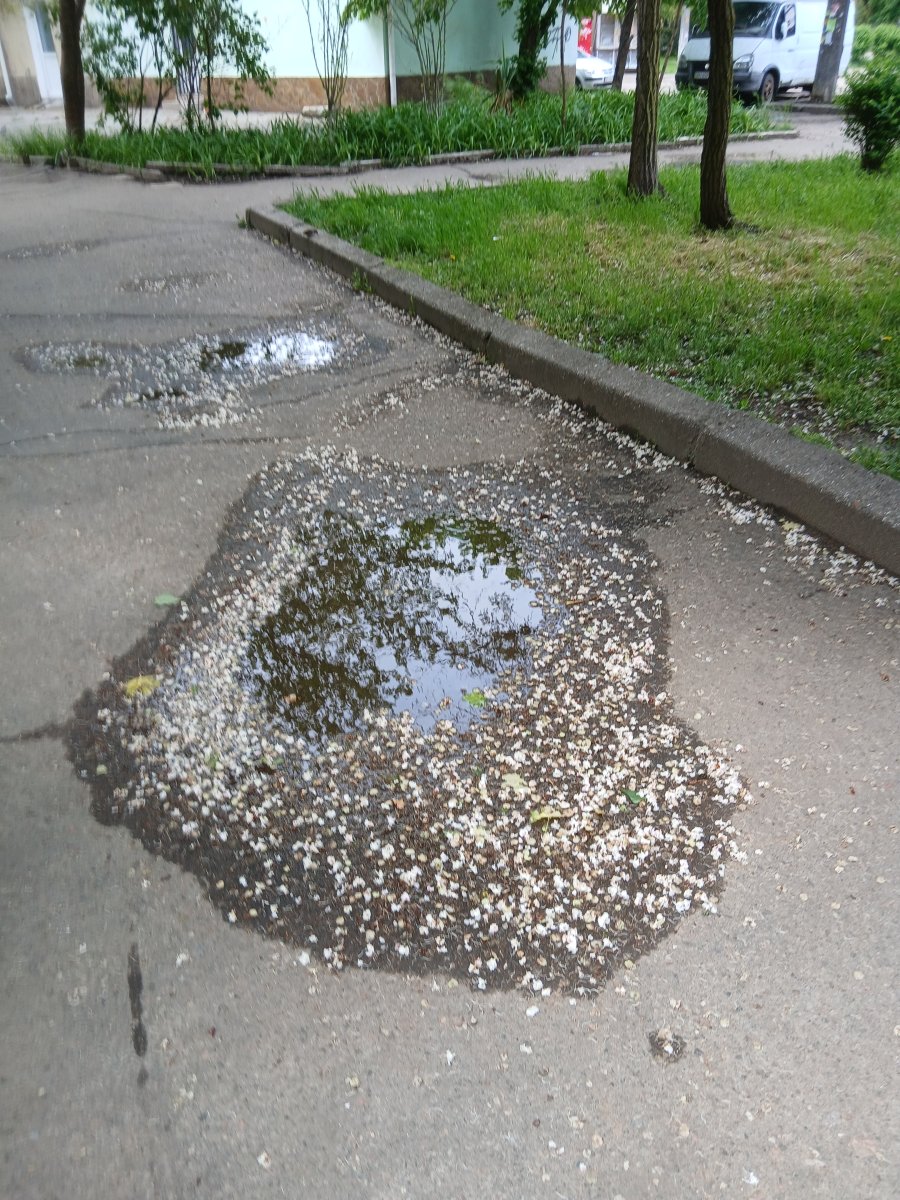 20260514_123450.jpg