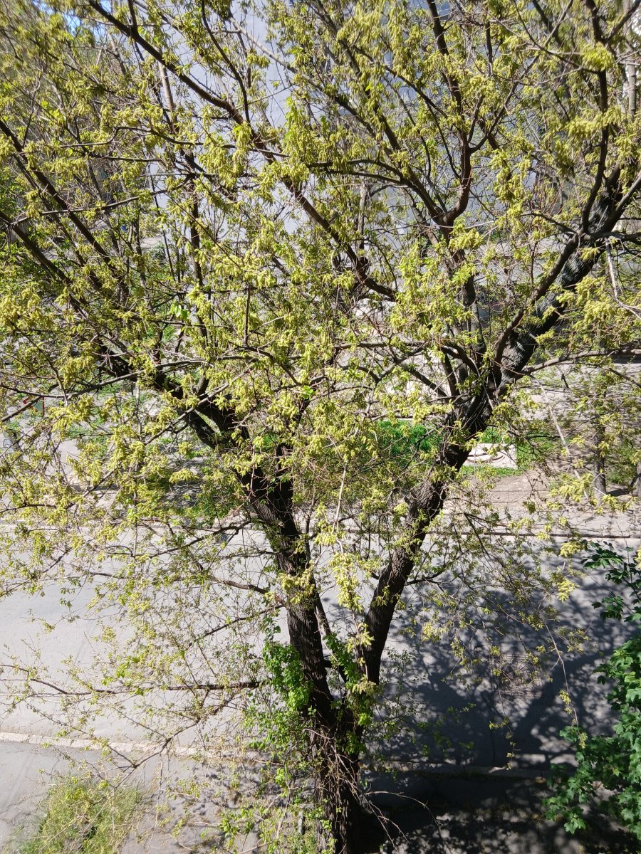 20260515_120721.jpg