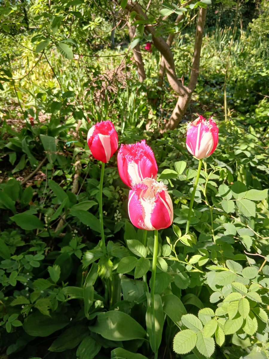 20260516_154853.jpg