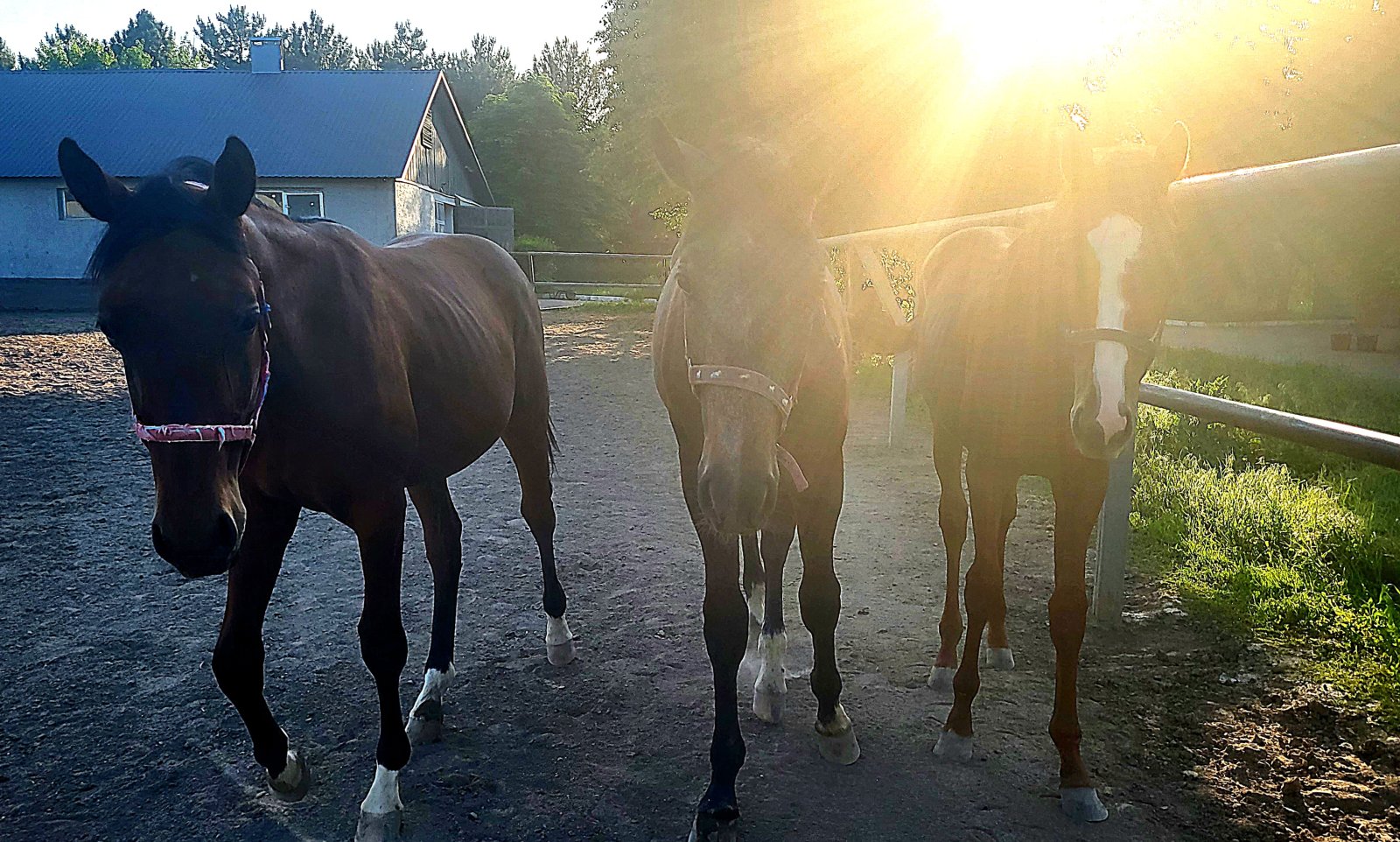 20260516_174158.jpg