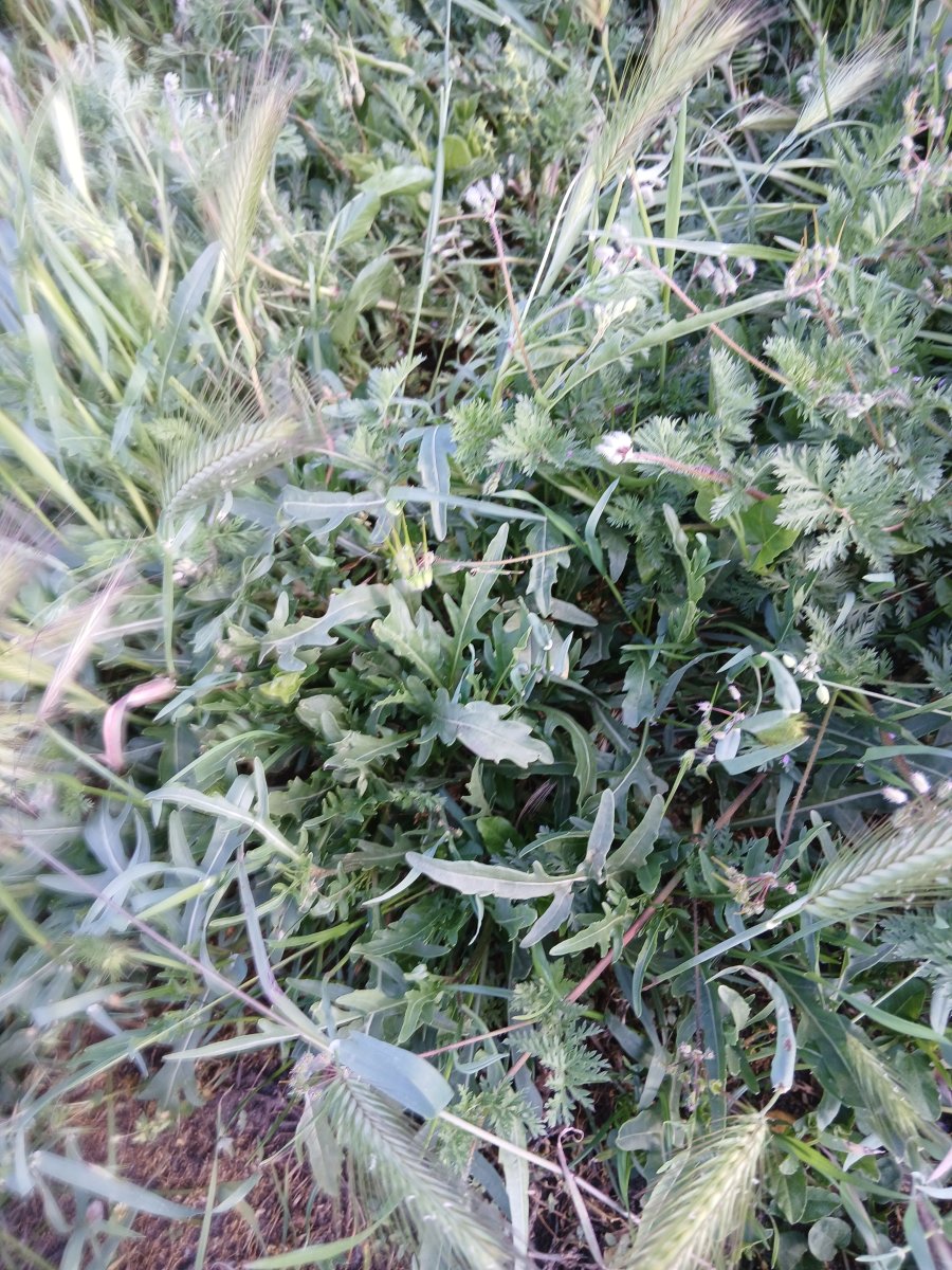 20260517_172214.jpg