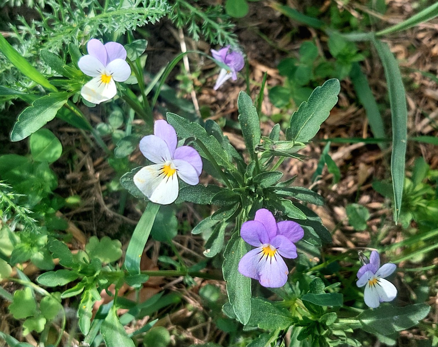 20260518_122929.jpg