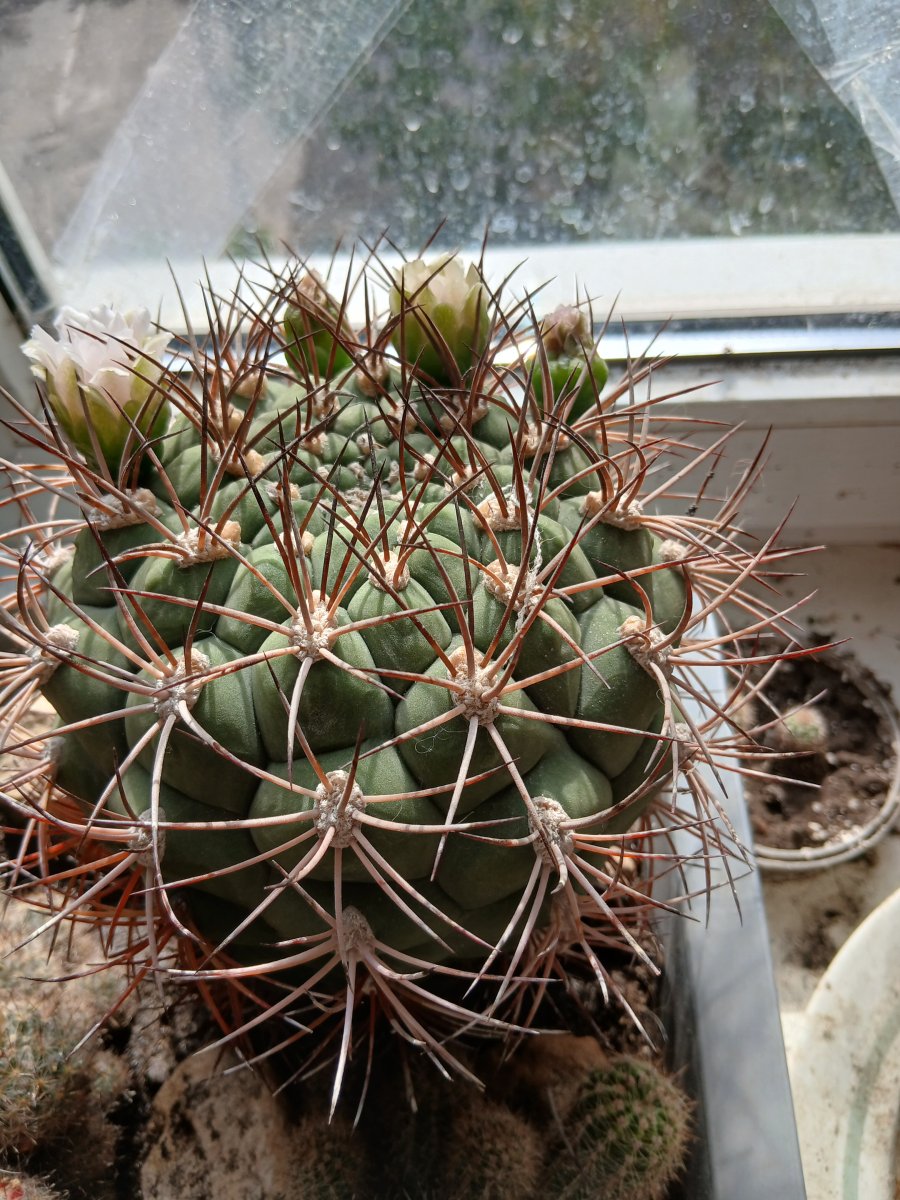 20260519_162545.jpg