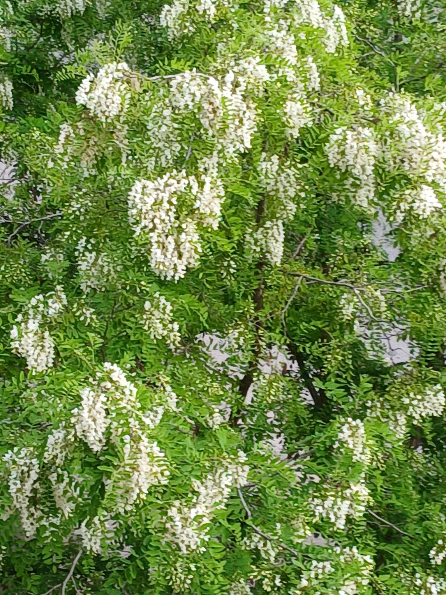 20260519_163356.jpg
