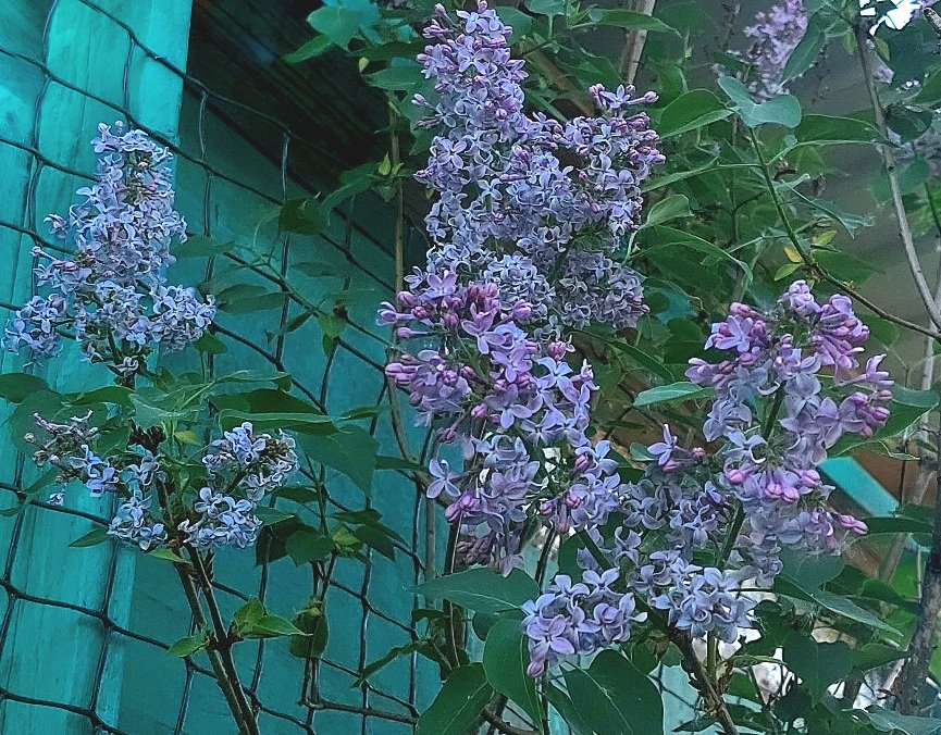 20260519_173553.jpg