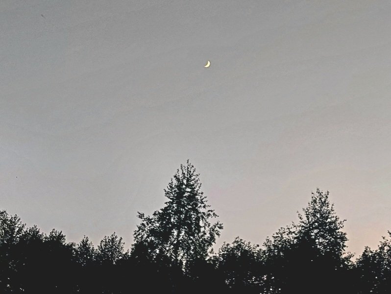 20260520_210711.jpg