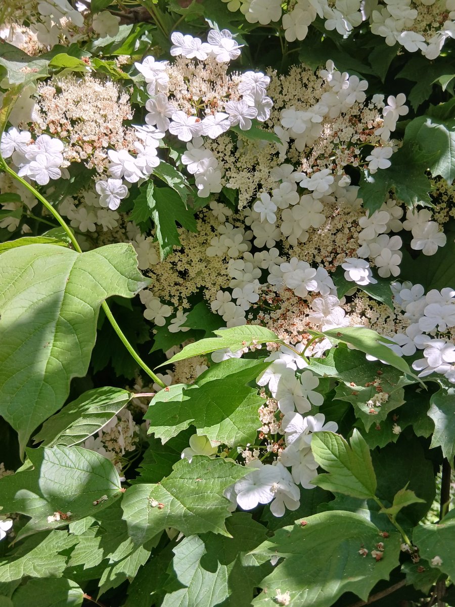 20260522_111830.jpg