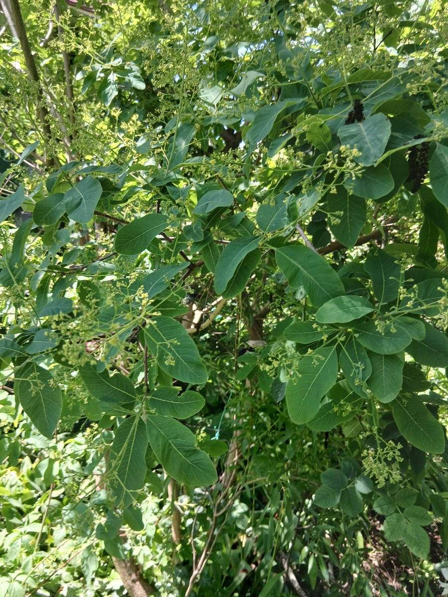 20260522_112121.jpg