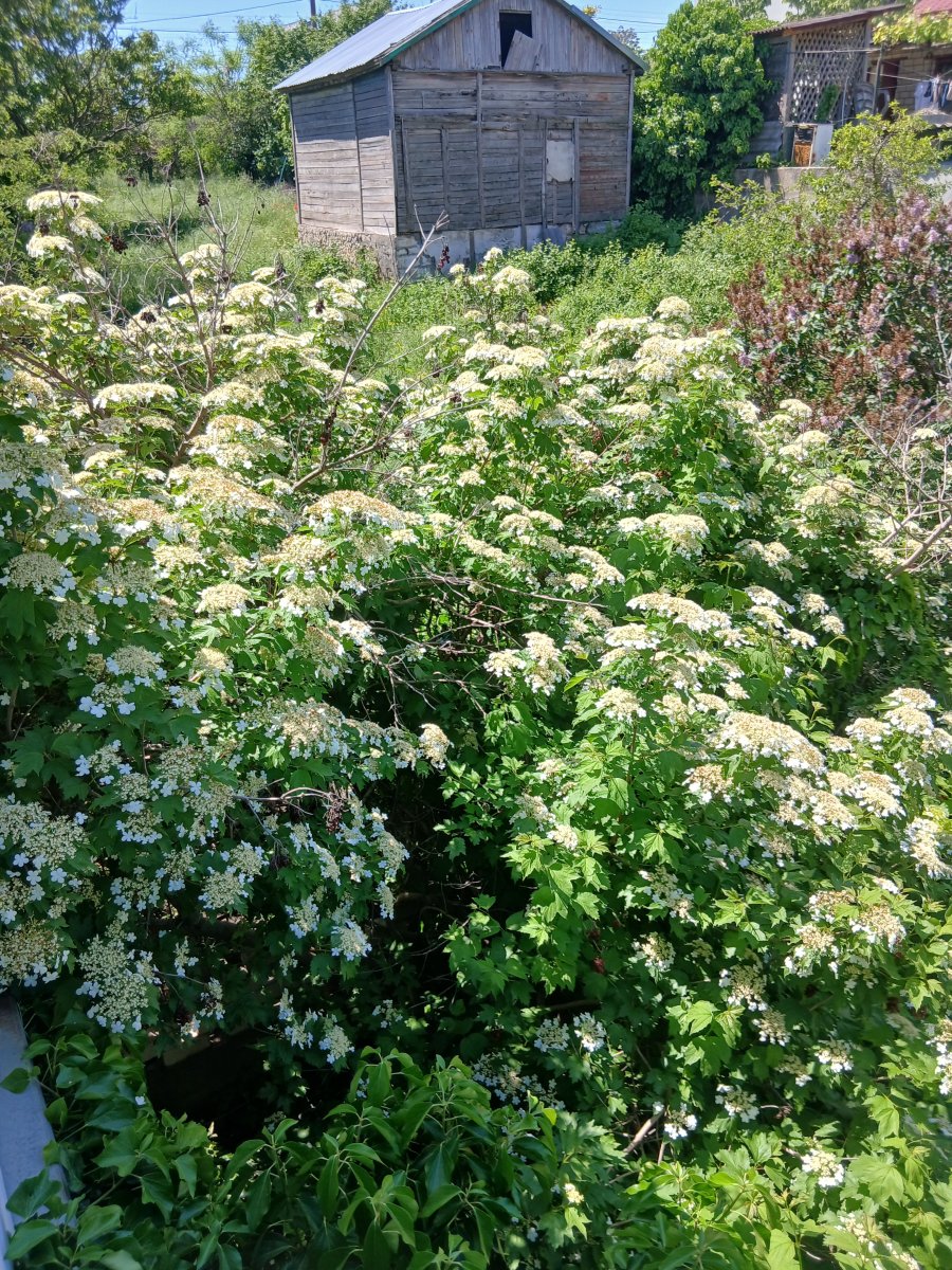 20260522_120021.jpg