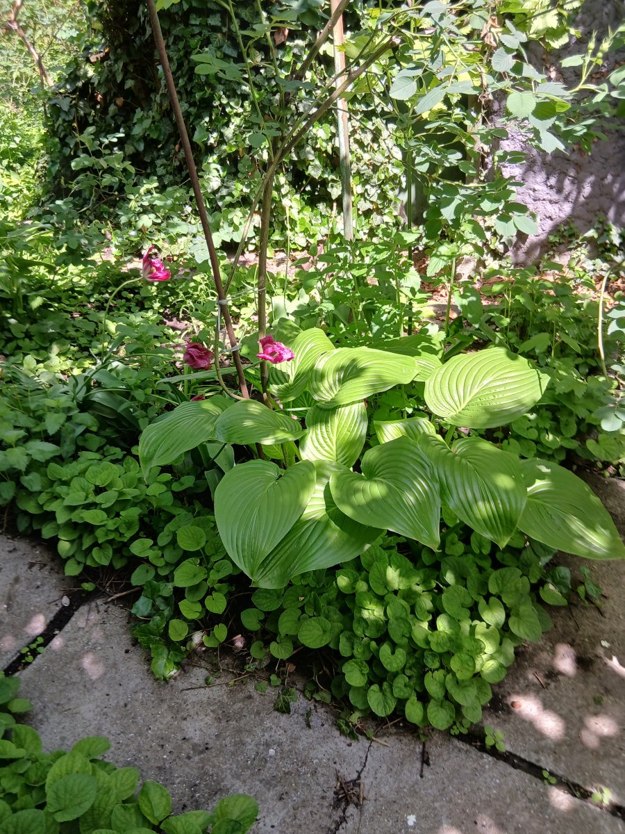 20260522_145734.jpg