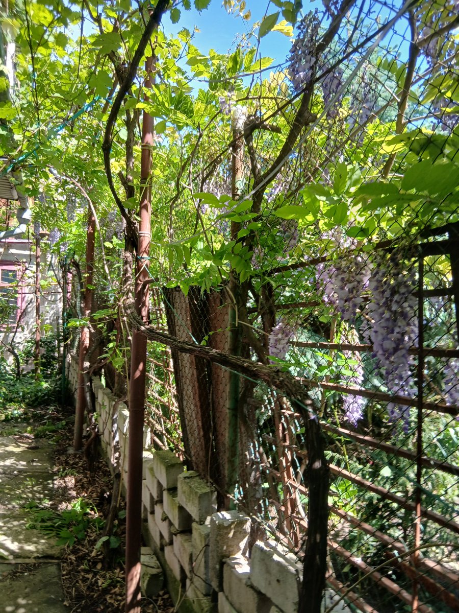 20260522_145755.jpg