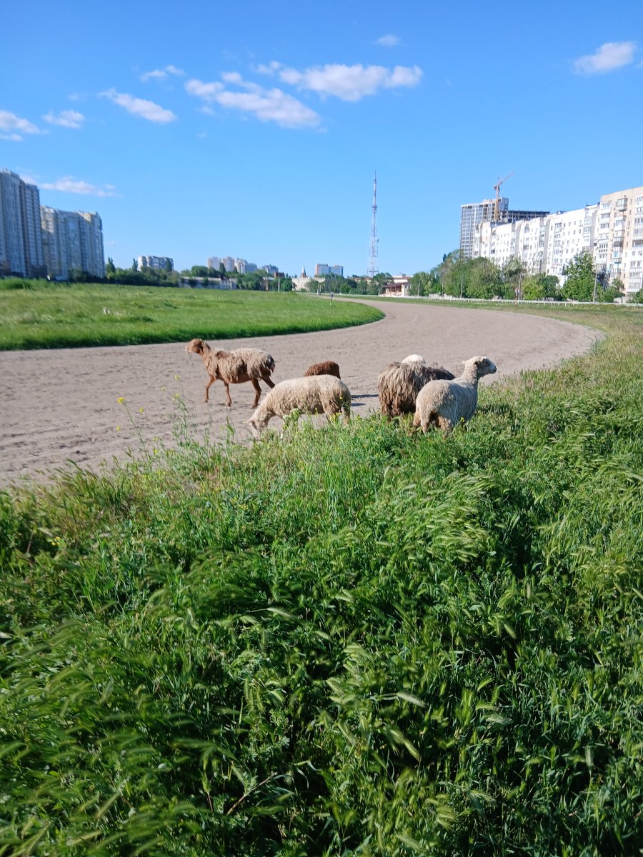 20260524_174116.jpg