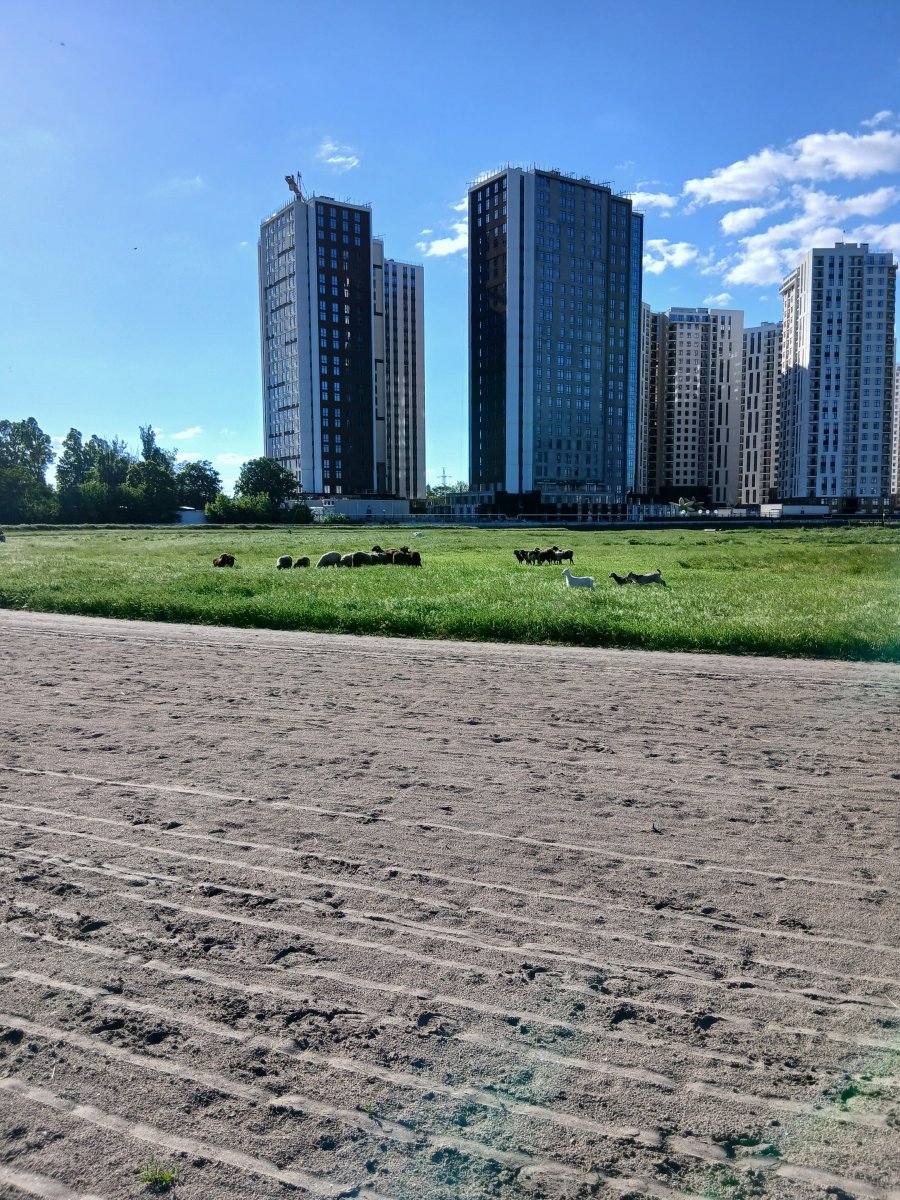 20260524_174132.jpg