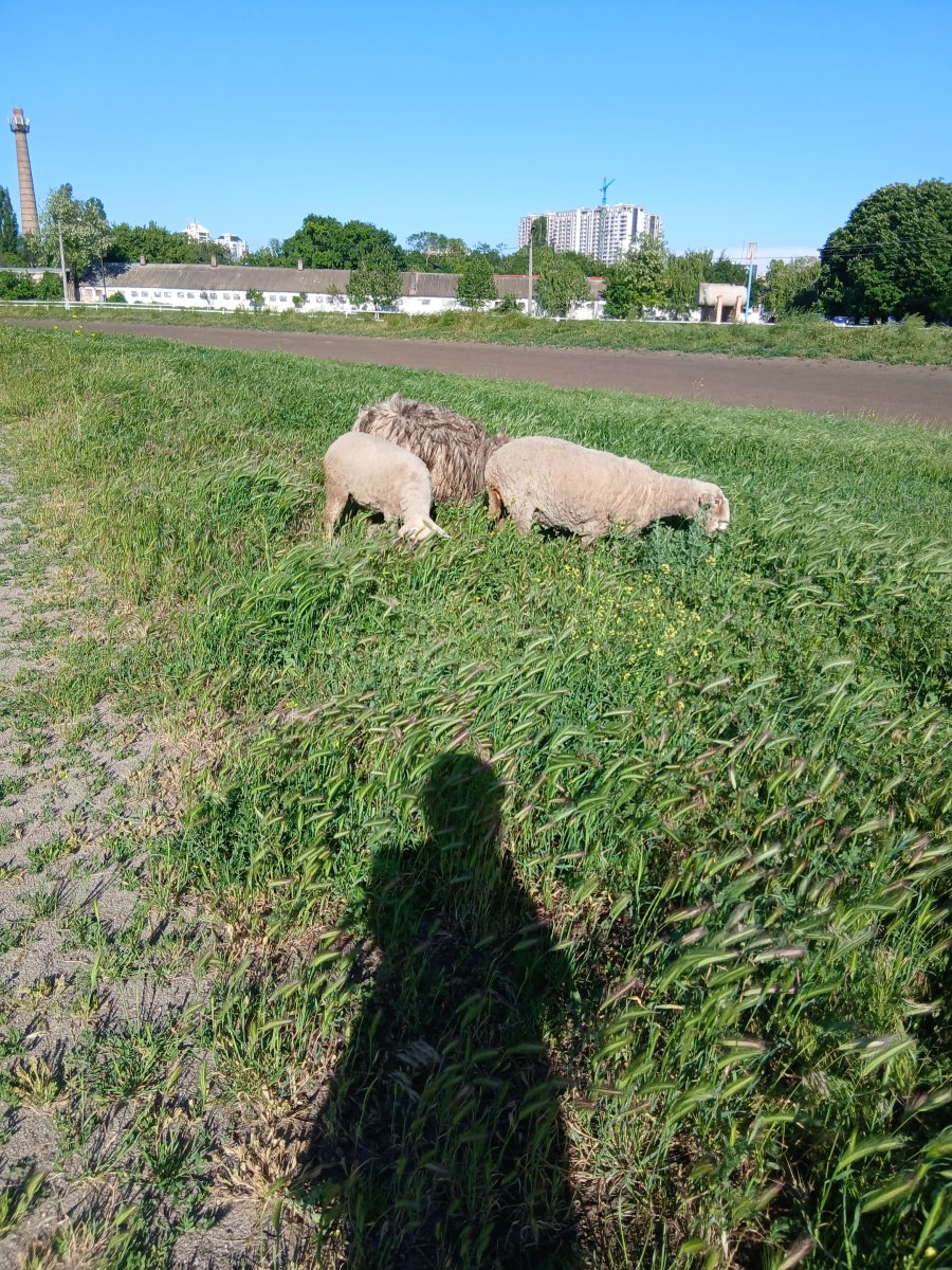 20260524_174414.jpg