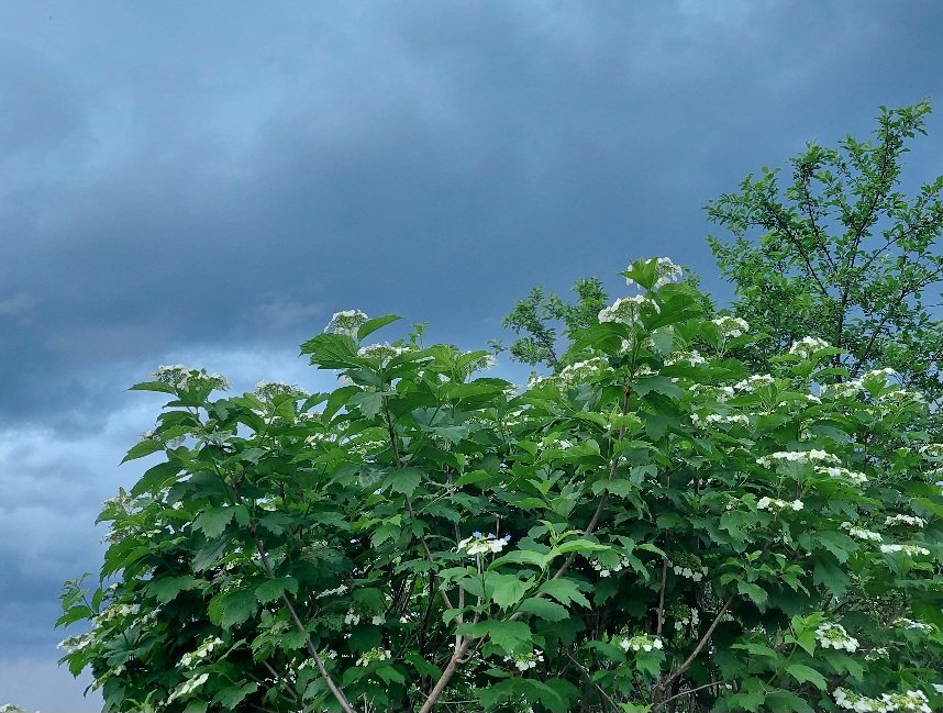 20260524_192713.jpg