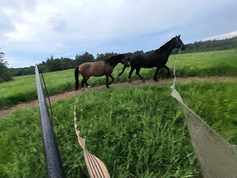 20260524_210217.jpg