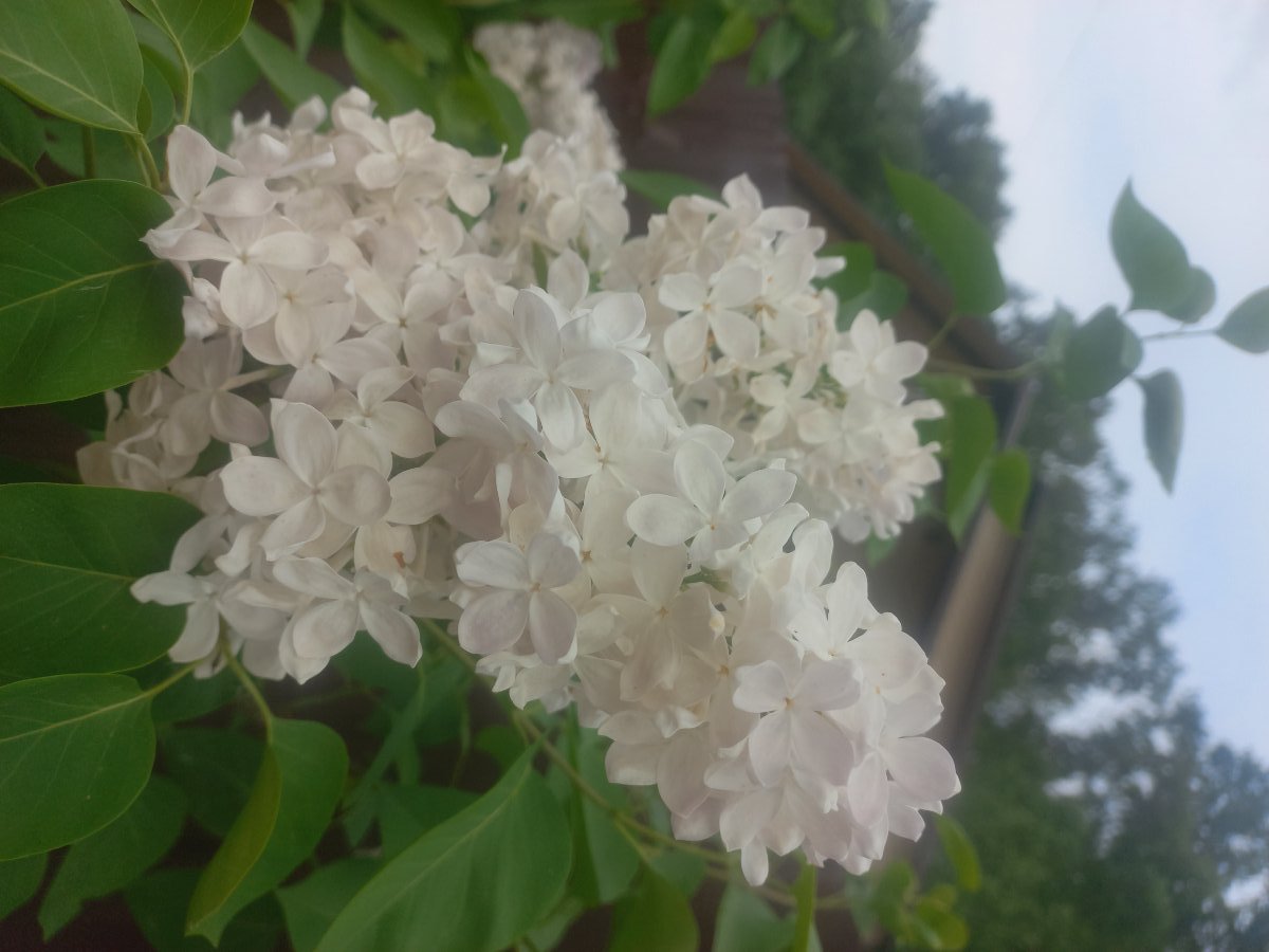 20260525_185024.jpg