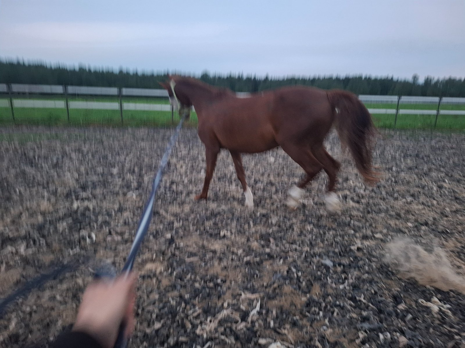 20260525_203652.jpg