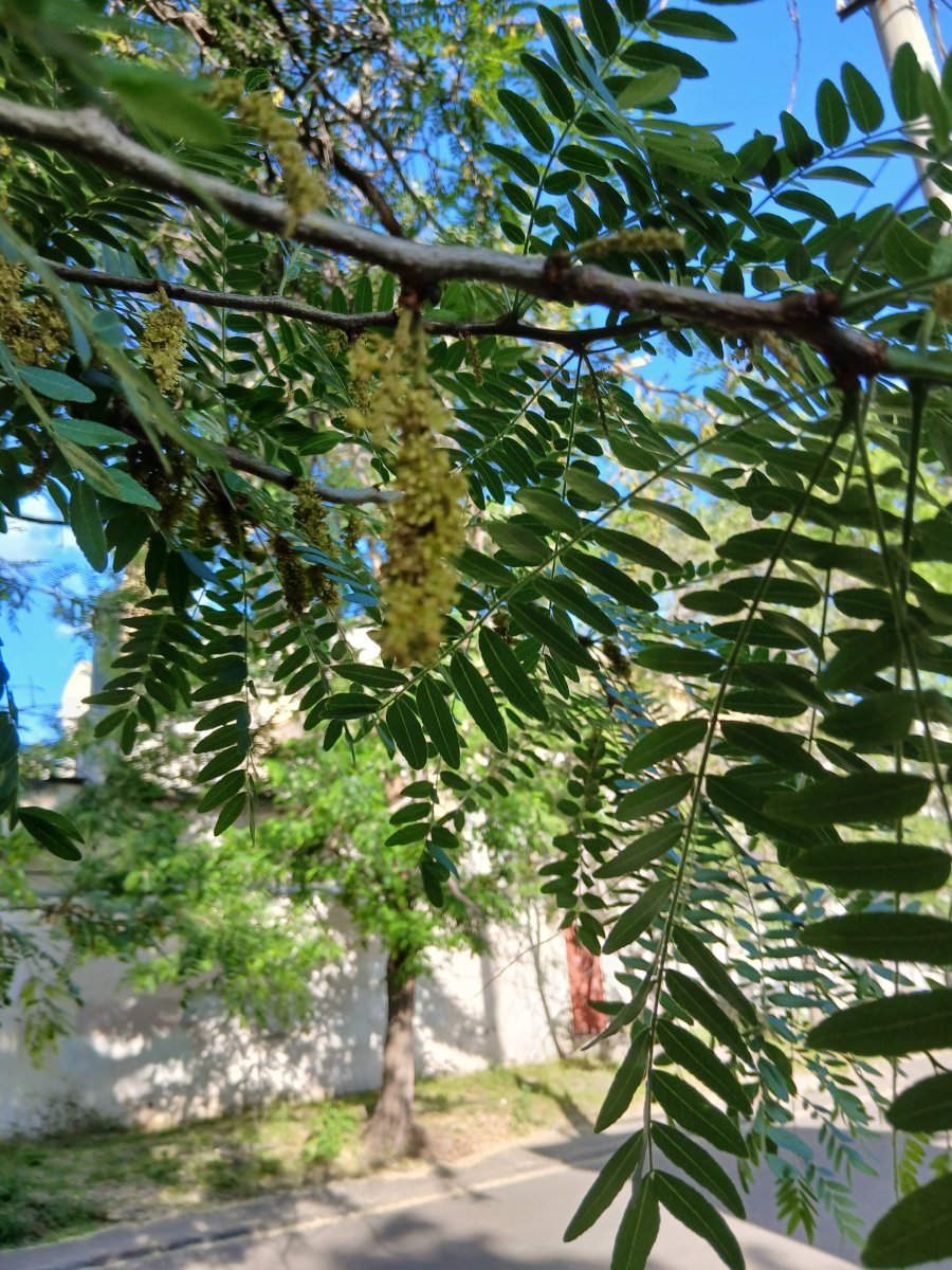 20260528_182518.jpg