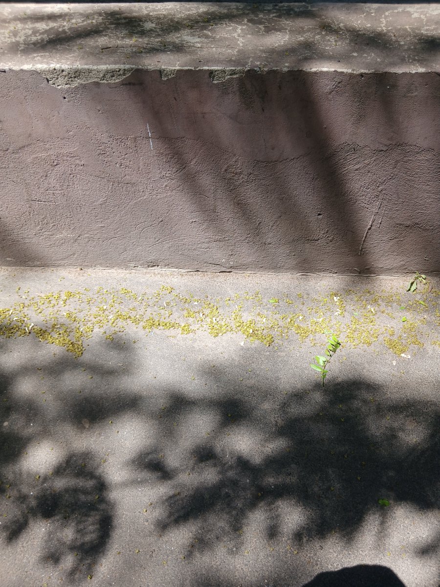 20260530_115228.jpg