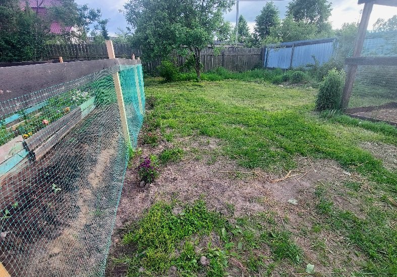 20260530_183235.jpg