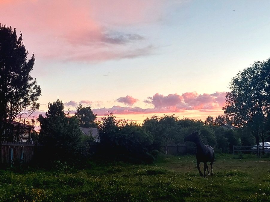 20260530_210743.jpg