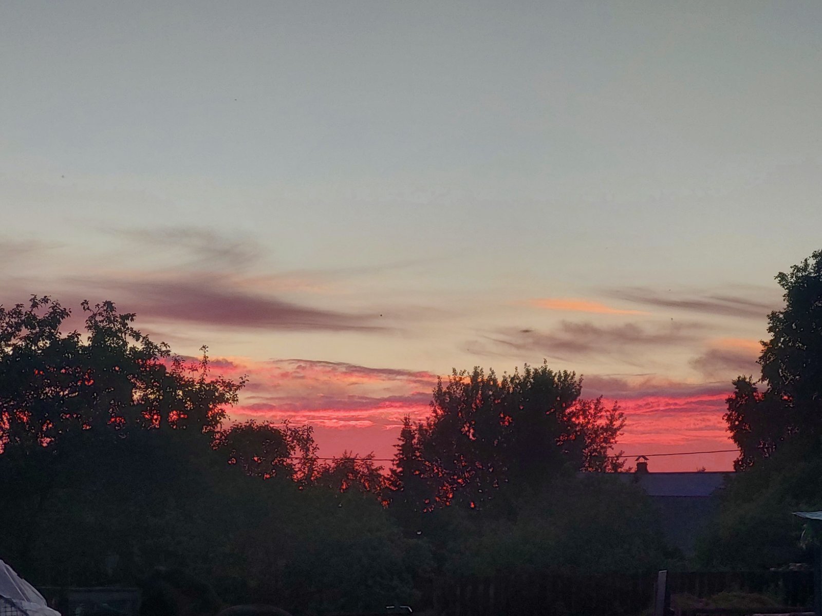 20260530_210933.jpg